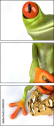 61064251