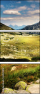 61139815