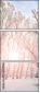 61239166
