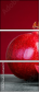 61560577