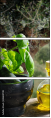 61604708