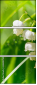 61638784