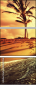 61639356