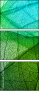 61732715