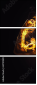 61751589