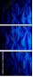 61862694
