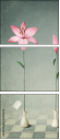 61954635