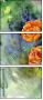 62123378
