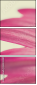 62303581