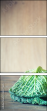 62377665
