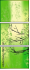 62514061