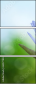 62577833