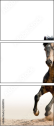 62618176