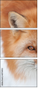 62758452