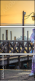 62901581
