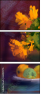 62921715