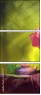 62921717
