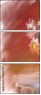 62921720