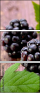 62957499