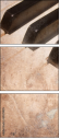 63329825