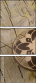 63872265