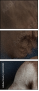 64035184