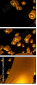 64122199