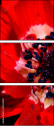 64202605