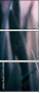 64764668