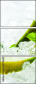 64781640