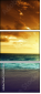 64822856