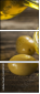 65132518