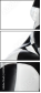 65169045