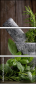 65235684