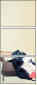 65274818