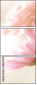 65294309