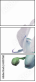 65578616