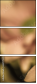 65771321