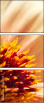 65782170
