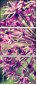 65874954