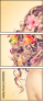 65960118
