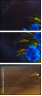 66105575
