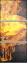 66150083