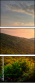 66845311