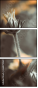 66879069