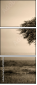 67091095