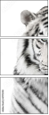 67172414