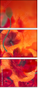 67251094