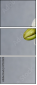 67524614