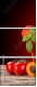 67534556